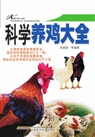 科学养鸡大全