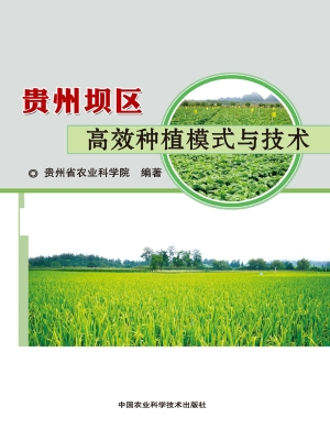 贵州坝区高效种植模式