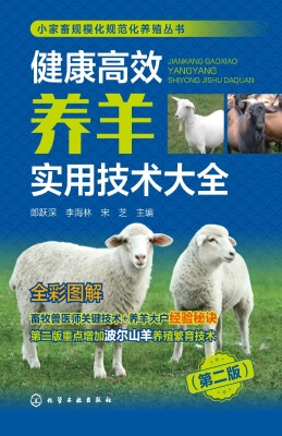 健康高效养羊实用技术