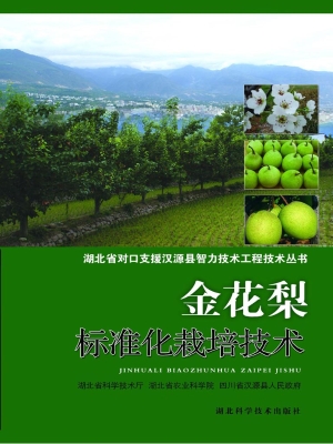 金花梨标准化栽培技术