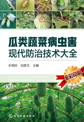 瓜类蔬菜病虫害现代防