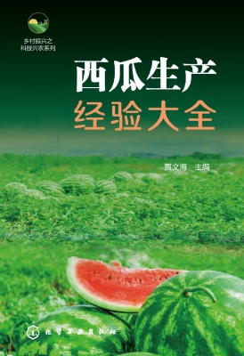 西瓜生产经验大全