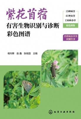 紫花苜蓿有害生物识别