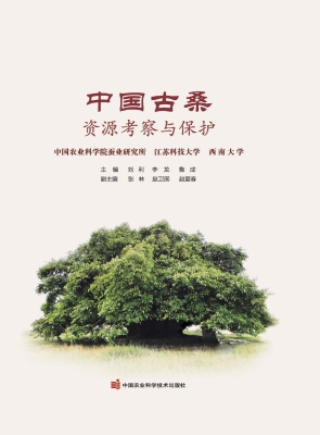 中国古桑资源考察与保