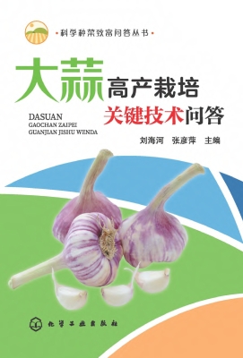 大蒜高产栽培关键技术