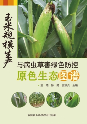 玉米规模生产与病虫草