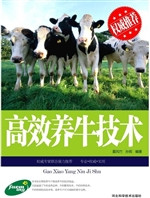 高效养牛技术