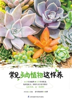 常见多肉植物这样养