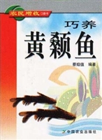 巧养黄颡鱼