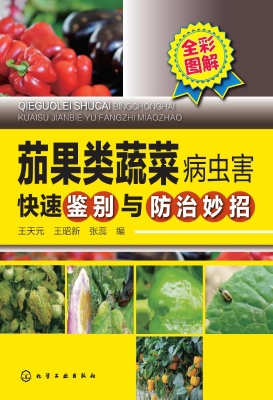茄果类蔬菜病虫害快速