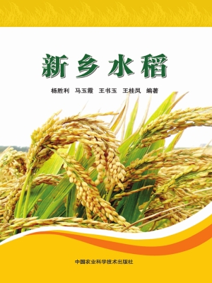 新乡水稻
