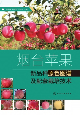 烟台苹果新品种原色图