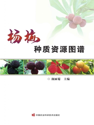 杨梅种质资源图谱