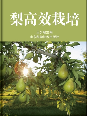 梨高效栽培