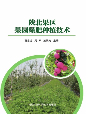 陕北果区果园绿肥种植