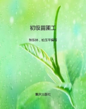 初级苗圃工