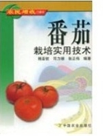 番茄栽培实用技术