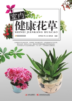 室内健康花草