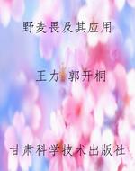 野麦畏及其应用