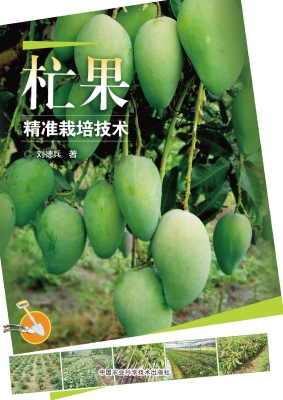 杧果精准栽培技术