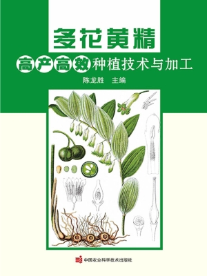 多花黄精高产高效种植