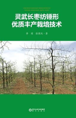 灵武长枣纺锤形优质丰