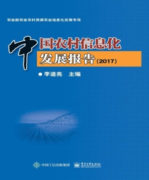 中国农村信息化发展报