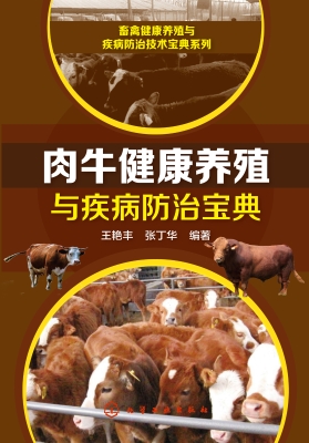 肉牛健康养殖与疾病防