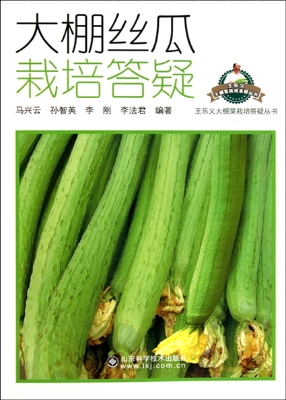大棚丝瓜栽培答疑