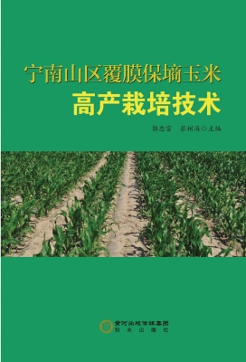 宁南山区覆膜保墒玉米