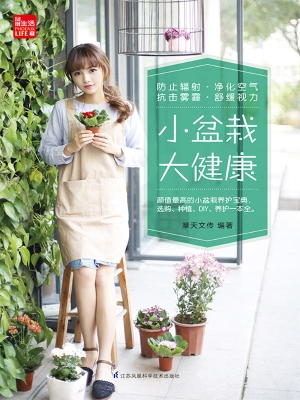 小盆栽 大健康