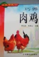 巧养肉鸡