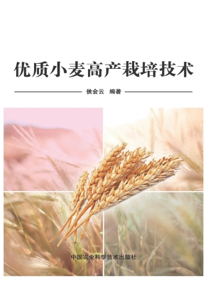 优质小麦高产栽培技术