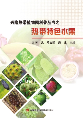 兴隆热带植物园科普丛