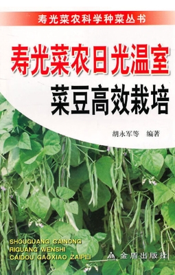 寿光菜农日光温室菜豆