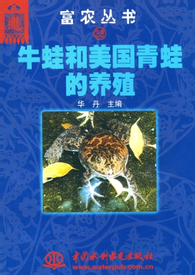 牛蛙和美国青蛙的养殖