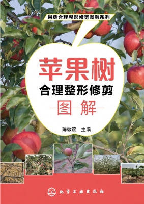 苹果树合理整形修剪图