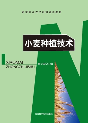 小麦种植技术