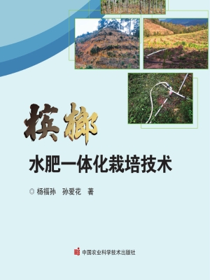 槟榔水肥一体化栽培技