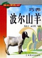 巧养波尔山羊