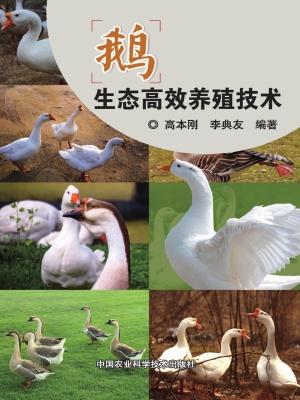鹅生态高效养殖技术