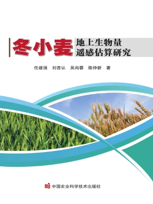 冬小麦地上生物量遥感