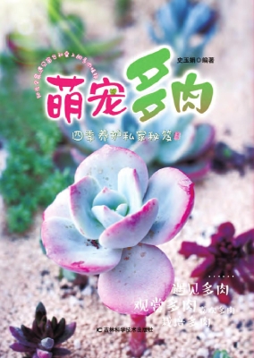 萌宠多肉