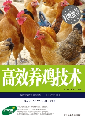 高效养鸡技术