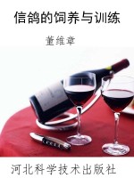 信鸽的饲养与训练