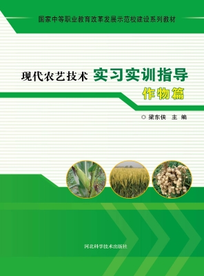 现代农艺技术实习实训