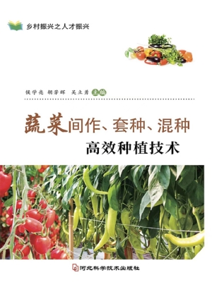 蔬菜间作、套种、混种