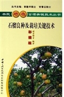 石榴良种及栽培关键技