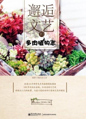邂逅文艺的多肉植物志