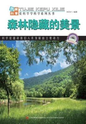 森林隐藏的美景
